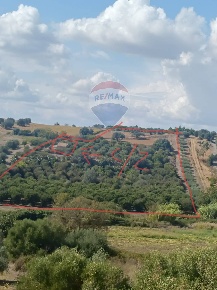 Foto Terreno agricolo in Contrada Ramione, Caltagirone di 23400 m²