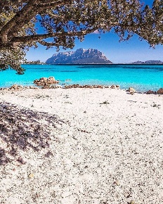 Foto Appartamento in Porto Istana, Olbia Murta Maria, Porto Istana di 75 m²