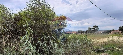 Foto Terreno agricolo in Via del Camedrio, Catania Vaccarizzo di 1000 m²