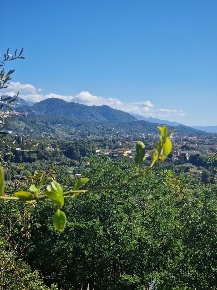 Foto Appartamento in VIA FORTINO, Sarzana Bradia, Nave, San Michele
