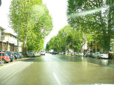 Foto Garage a Firenze Beccaria - Colombo di 12 m² con 1 locali in affitto