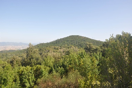Foto Terreno agricolo a Rosignano Marittimo Chioma, Nibbiaia in vendita