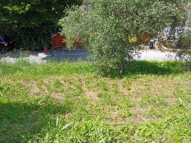 Foto Terreno edificabile a Lerici Pugliola, Solaro di 220 m² in vendita