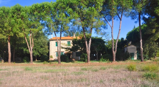 Foto Rustico in Stradone della Torre, Rosignano Marittimo di 308 m²