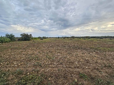 Foto Terreno agricolo in CDA BOSCO PRETI, Brindisi Tuturano - Cerano