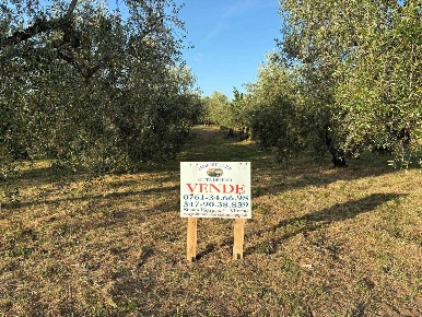 Foto Terreno agricolo a Viterbo Grotte Santo Stefano di 11570 m² in vendita