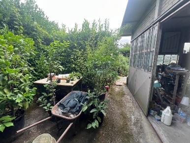Foto Capannone industriale a Pietrasanta di 60 m² con 2 locali in vendita