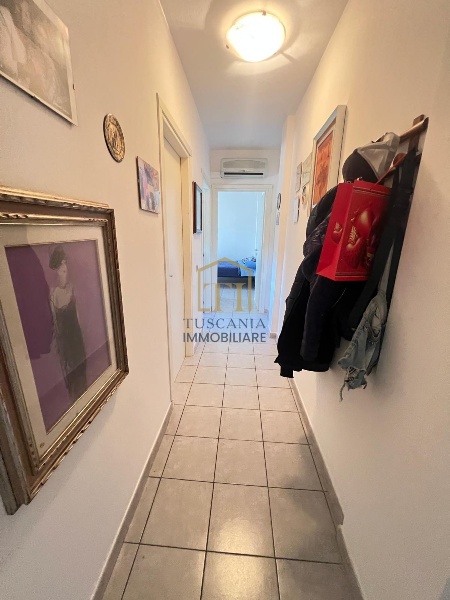 immagine annuncio 6 di 14