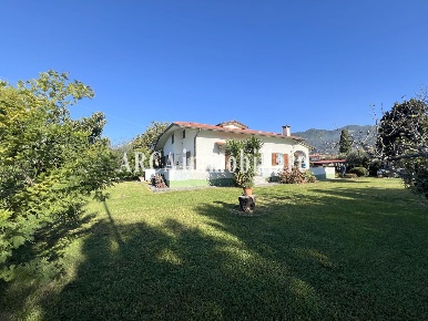 Foto Villa unifamiliare a Seravezza Ripa Pozzi Querceta Ponterosso