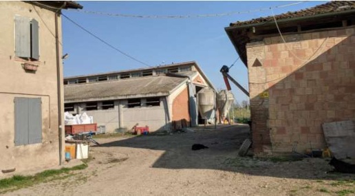 immagine annuncio 6 di 15