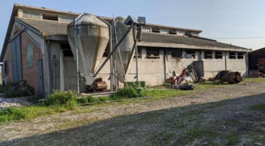 immagine annuncio 9 di 15