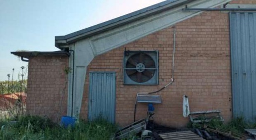 immagine annuncio 10 di 15