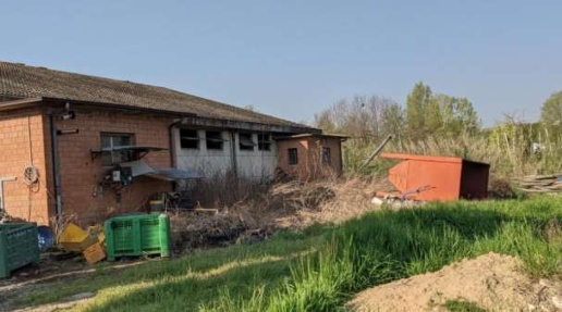 immagine annuncio 12 di 15