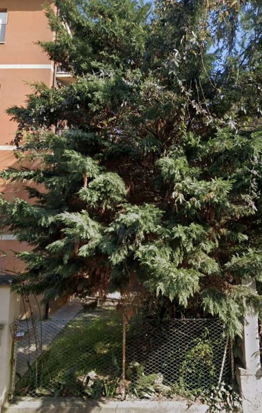 immagine annuncio 3 di 4
