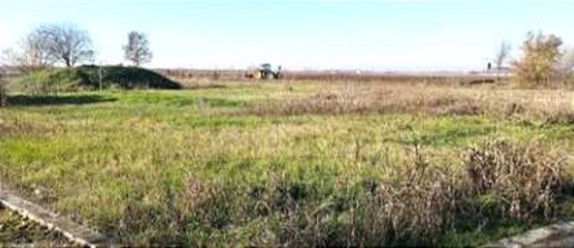 Foto Terreno agricolo in Via Valter Brunelli, Nogara Centro di 9372 m²