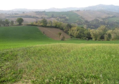 Foto Terreno agricolo in Via Serra, Mercato Saraceno Centro di 2472 m²