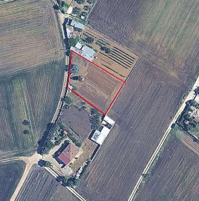 Foto Terreno agricolo in Contrada Pozzo Pateo, Gravina in Puglia di 1500 m²