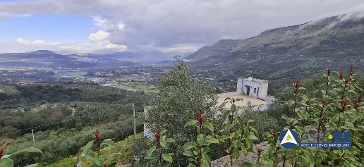 Foto Cessione attività in Strada Provinciale Sonninese km.4500, Sonnino
