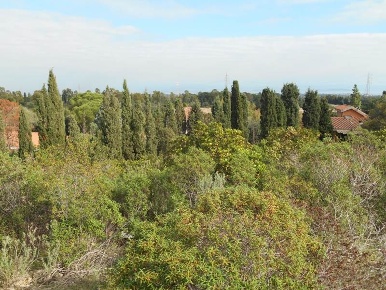 Foto Terreno edificabile a Capoterra Poggio Dei Pini di 1815 m² in vendita