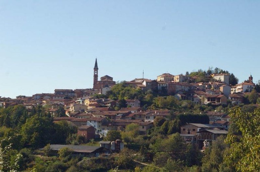 immagine annuncio 7 di 14