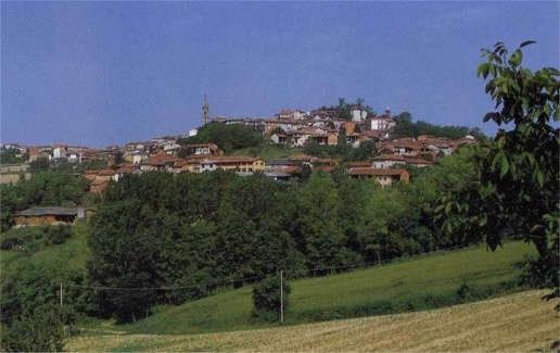 immagine annuncio 8 di 14