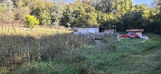 Foto Terreno agricolo in carretti, Asti Torrazzo di 7000 m² in vendita