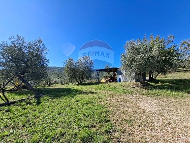 Foto Terreno agricolo in Località il Casalino loppiano, di 36920 m²