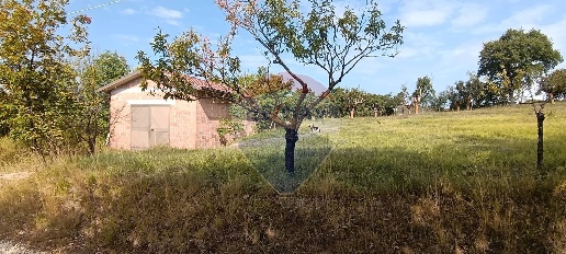 Foto Terreno agricolo in Frazione Poggio Sant'Ercolano, Gualdo Tadino