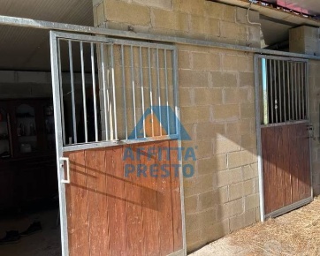 Foto Terreno agricolo a Montopoli in Val d'Arno di 20000 m² in vendita