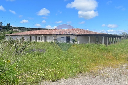 Foto Appartamento in strada provinciale 68, Codrongianos di 1020 m²