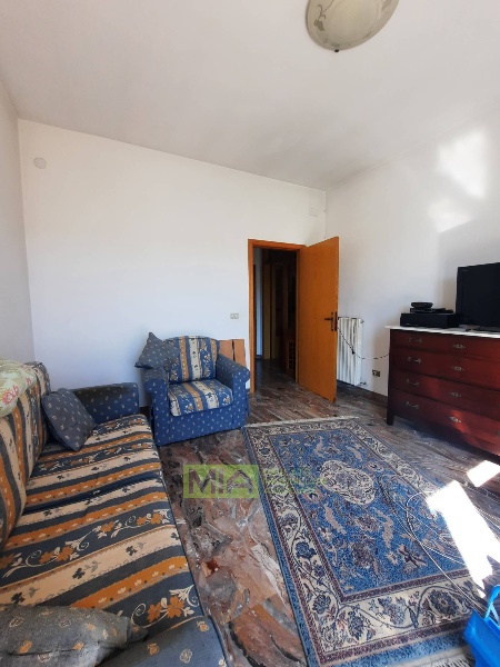 immagine annuncio 3 di 12