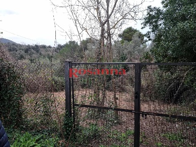 Foto Terreno agricolo a Livorno Porta a Terra - Padula di 2355 m²