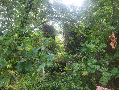 Foto Rustico a Carrara Fontia, Fossola, Fossone di 140 m² con 6 locali