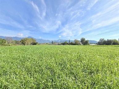 Foto Terreno agricolo a Camaiore Camaiore Paese di 2185 m² in vendita