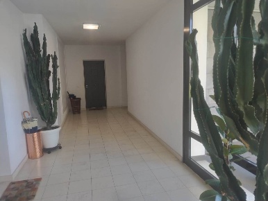 Foto Appartamento a Firenze Soffiano di 72 m² con 3 locali in affitto
