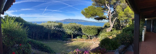 casa indipendente in vendita ad Orbetello in zona Ansedonia