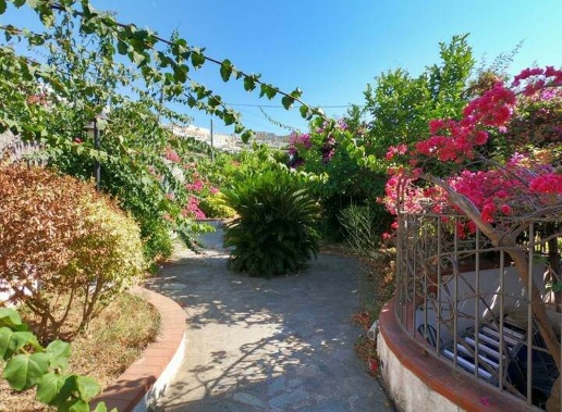 immagine annuncio 11 di 14