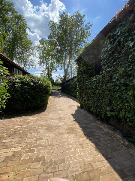 immagine annuncio 3 di 6