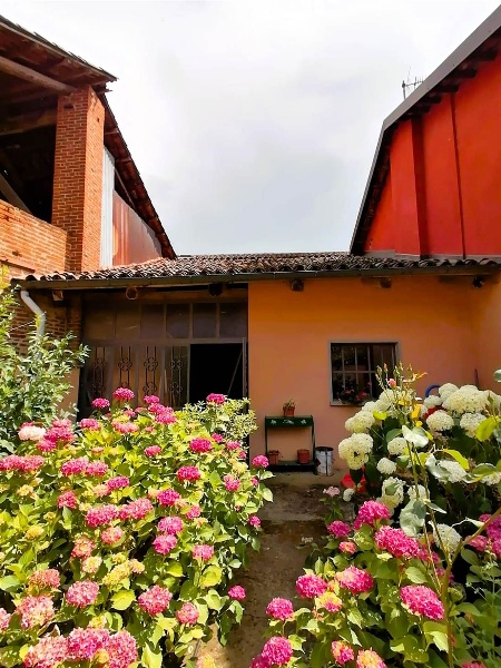 immagine annuncio 13 di 14