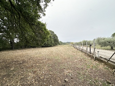 Foto Terreno residenziale in Via Del Concio SNC, Nepi Centro di 11200 m²