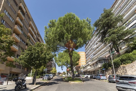 Foto Appartamento in Via Gregorio Ricci Curbastro 37, Roma Marconi di 14 m²