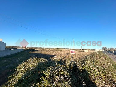 Foto Terreno residenziale in altipiani, Poggiardo Centro di 1976 m²