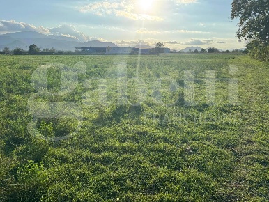 Foto Terreno agricolo in Via Comunale Filettone snc, Alife ASI Matese