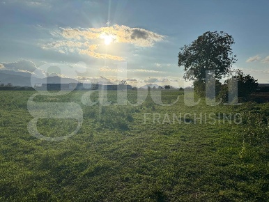 Foto Terreno agricolo in Via Comunale Filettone snc, Alife ASI Matese