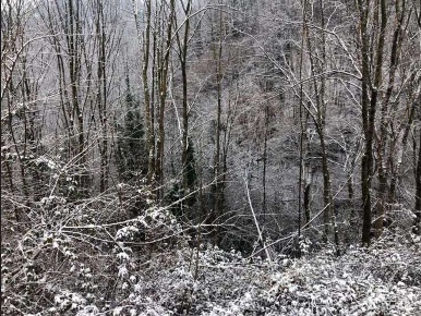 Foto Terreno agricolo in località Poscante, Zogno Poscante in vendita