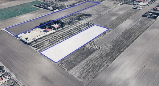 Foto Terreno agricolo Foggia di 8355 m² in vendita