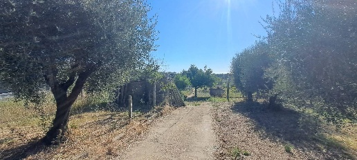 Foto Terreno agricolo in VIA MASTRO DI CASA, Albano Laziale Centro