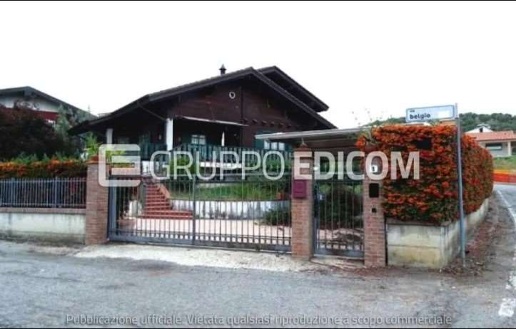immagine annuncio 1 di 14