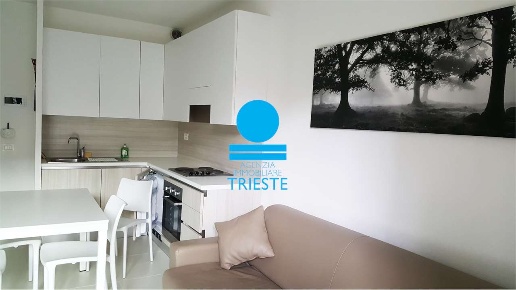 immagine annuncio 1 di 8