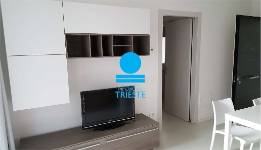 immagine annuncio 4 di 8